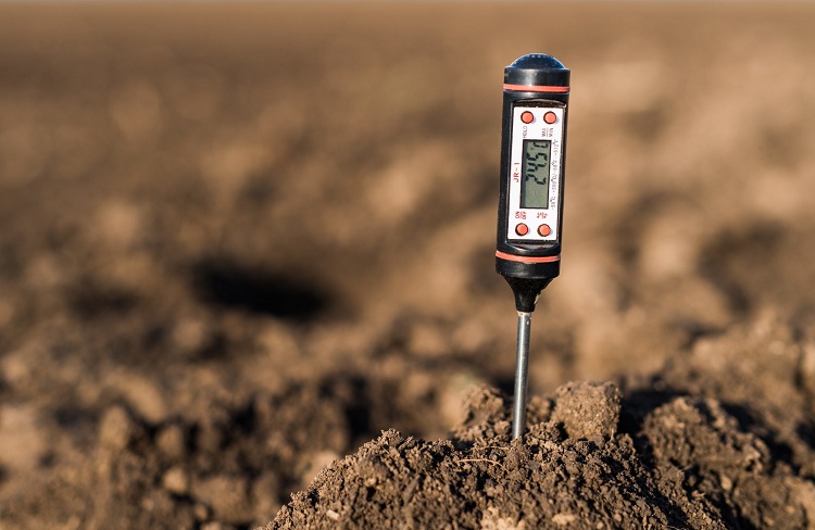 Why Should You Use a Soil Moisture Meter