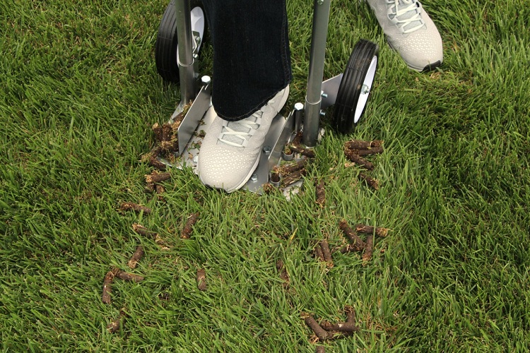Tips for Proper Lawn Aeration