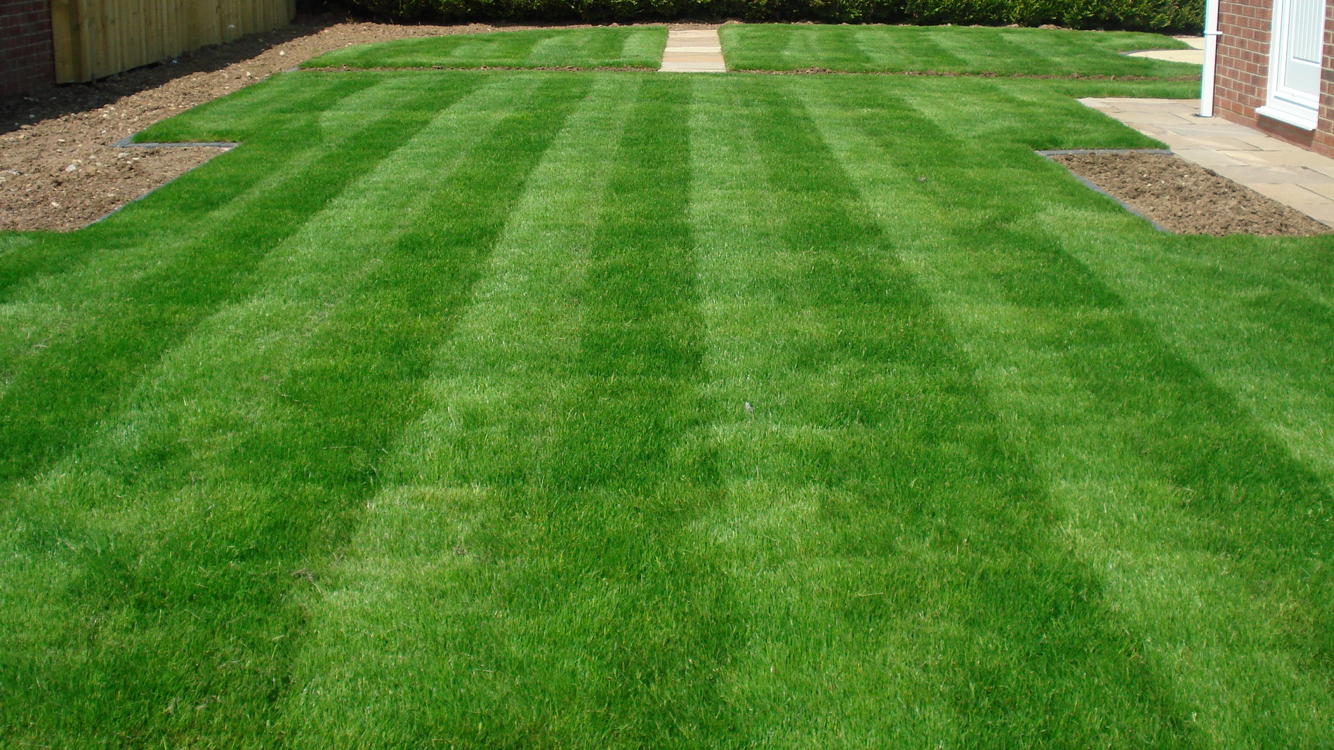 Best Time To Reseed Lawn