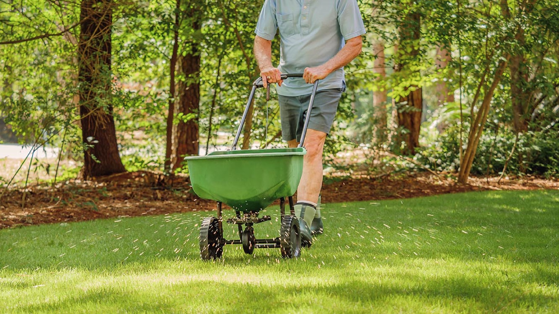 How Often Do You Need To Fertilize Your Lawn?