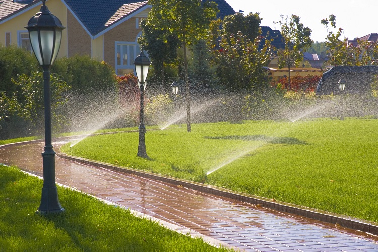 Best Time To Water Lawn In Hot Weather