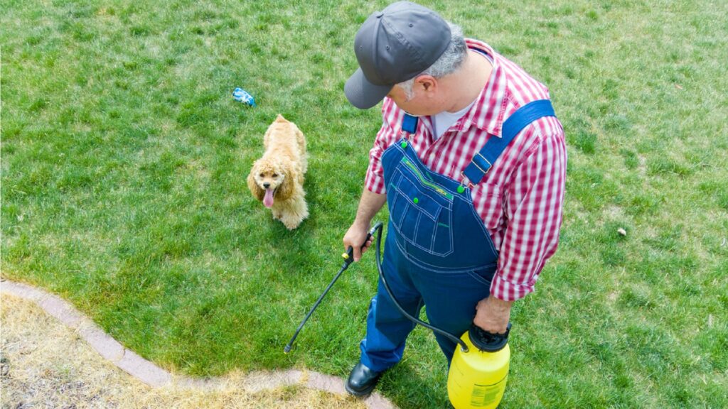 How Pet Safe Are Weed Killers?