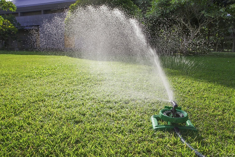 Lawn Watering Based on Weather