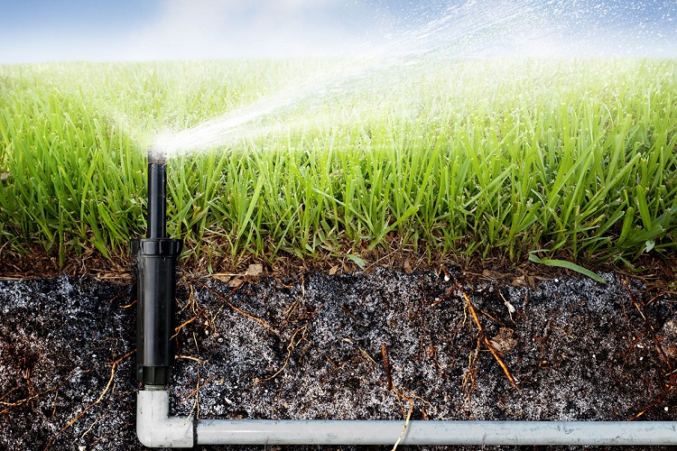 Sprinkler System Setup – The Basics