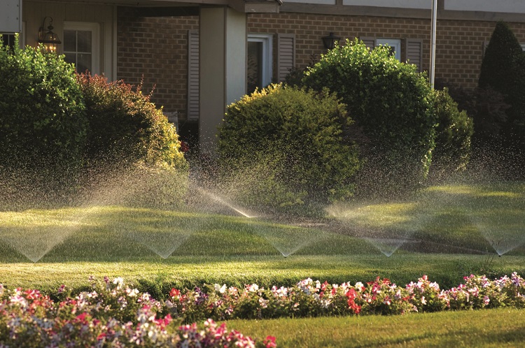 Best Time To Water Lawn In Hot Weather