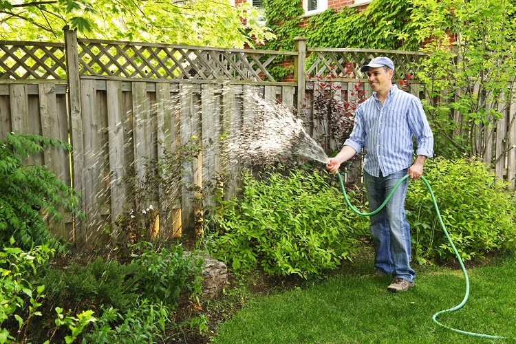 Lawn Watering: The Ultimate Guide To Proper Lawn Watering 