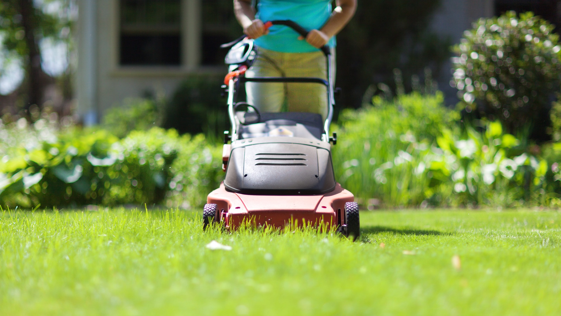 What Is The Best Time To Mow Lawn?