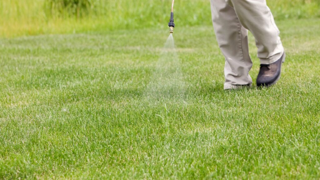 When To Apply Pre Emergent Herbicide