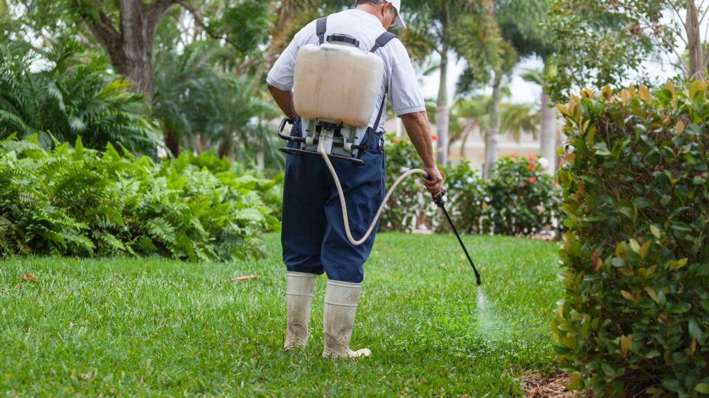 Organic Lawn Pest Control That Really Works