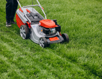 Lawn Care 101: The Definitive Guide to Proper Lawn Maintenance