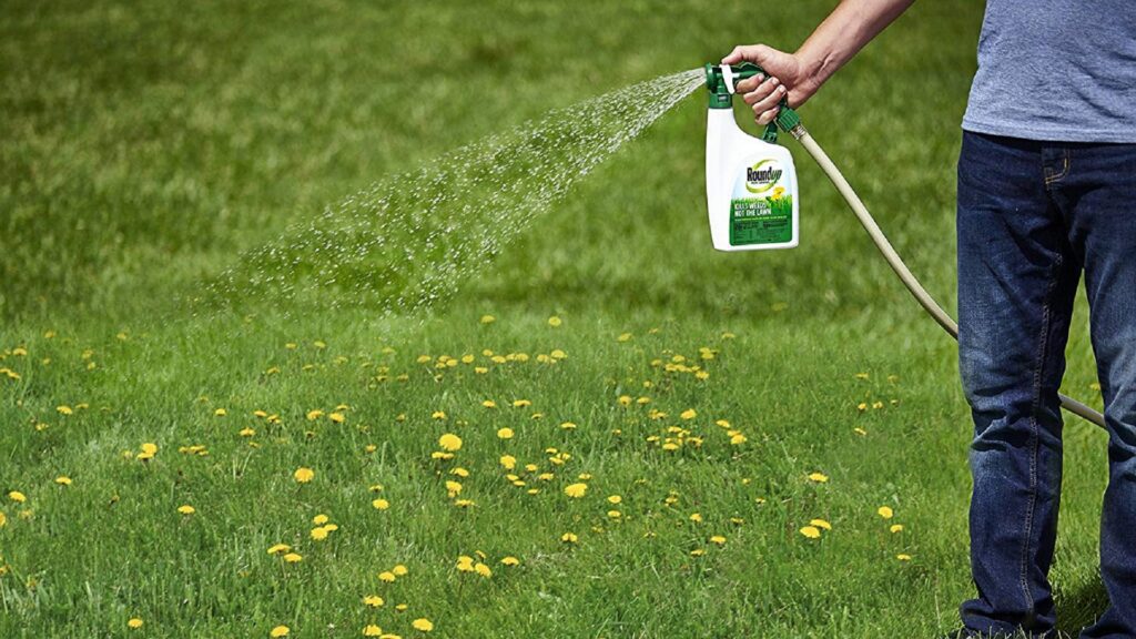 Best Weed Killer for Lawns: Review of the Top Brands