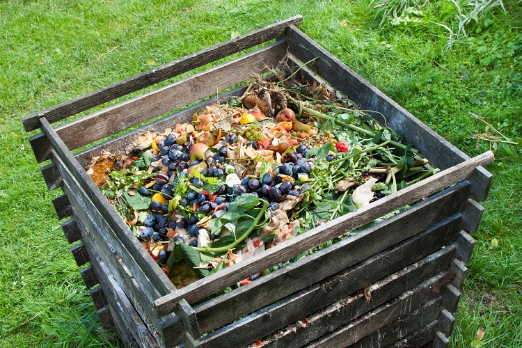 Potential Downsides to Composting Your Lawn