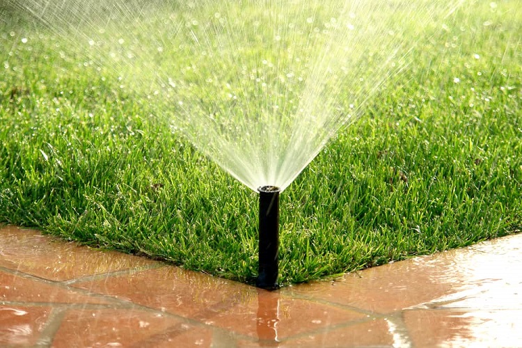 Can I Control Sprinklers From My Phone?