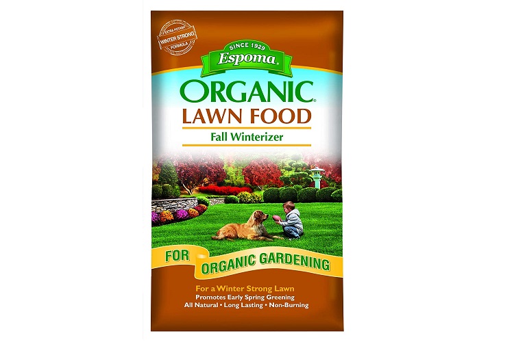 Best Organic Fertilizer for My Lawn