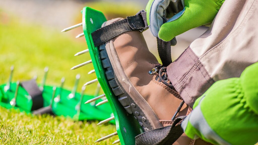 Spring Lawn Aeration – Everything You Need to Know