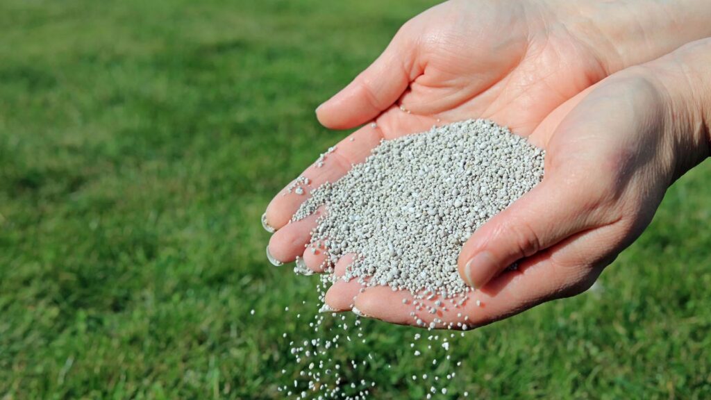Your Guide to All Types of Fertilizers