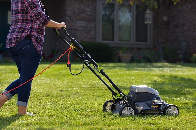 What’s Cheaper Electric or Gas Mower?