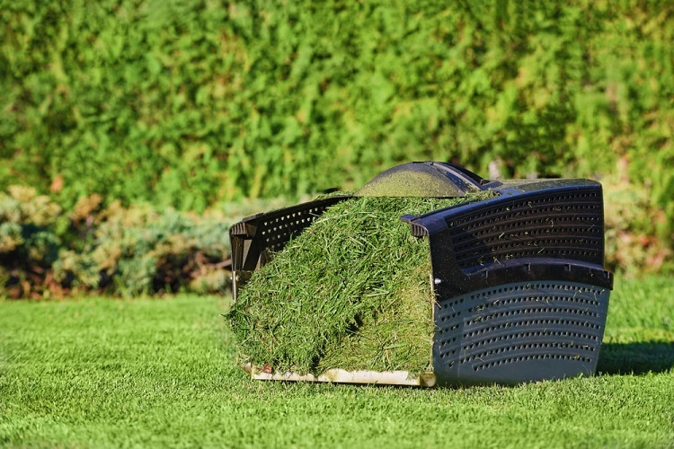 Do Lawn Sweepers Work On Grass Clippings?