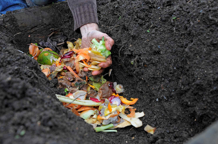 How Long Does It Take to Make Compost?