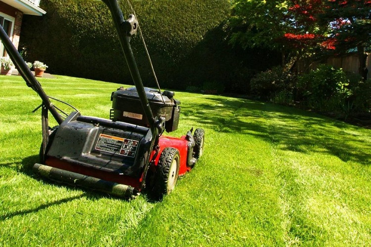 What Size Lawn Mower Engine Do I Need?