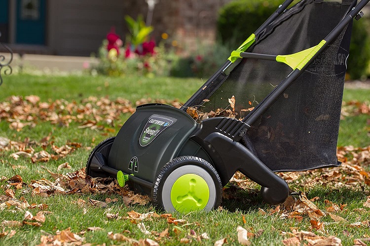 Is a Rake or Lawn Sweeper Better?