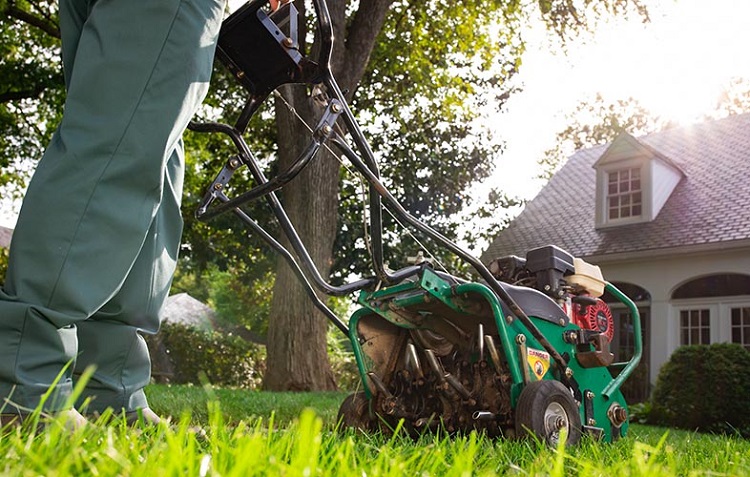Should You Aerate Your Lawn in Spring?