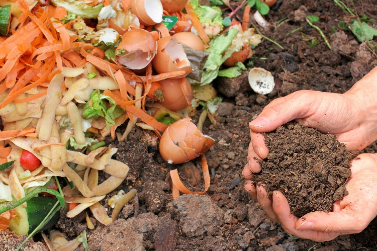 How Do You Make Compost?