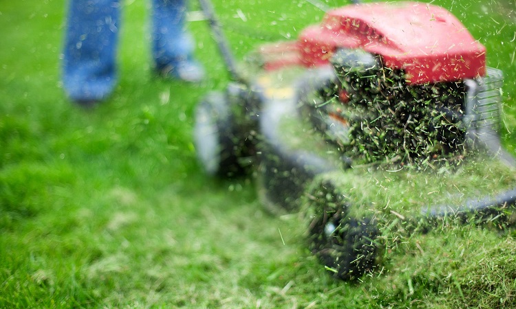 Can You Mow Your Lawn in Winter?