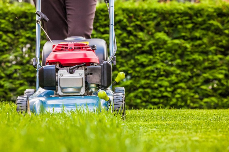 How to Find the Right Lawn Mower Oil