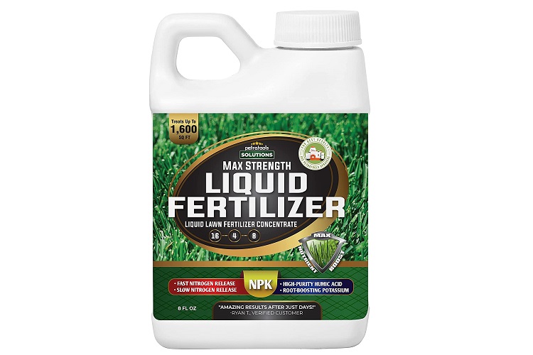 The Best Liquid Lawn Fertilizers for a Green & Lush Lawn in 2022