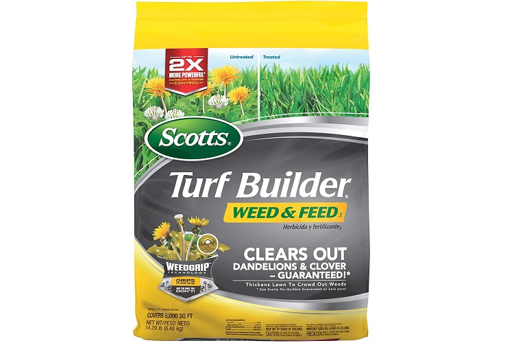 Best Weed Killer for Lawns: Review of the Top Brands