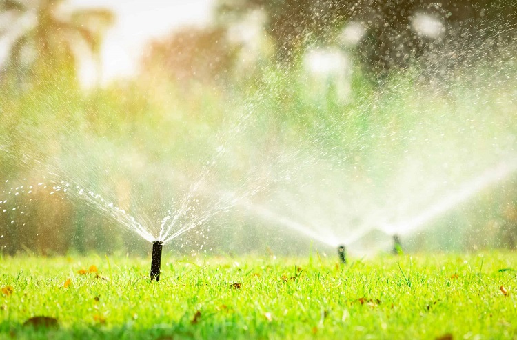 Smart Watering Systems
