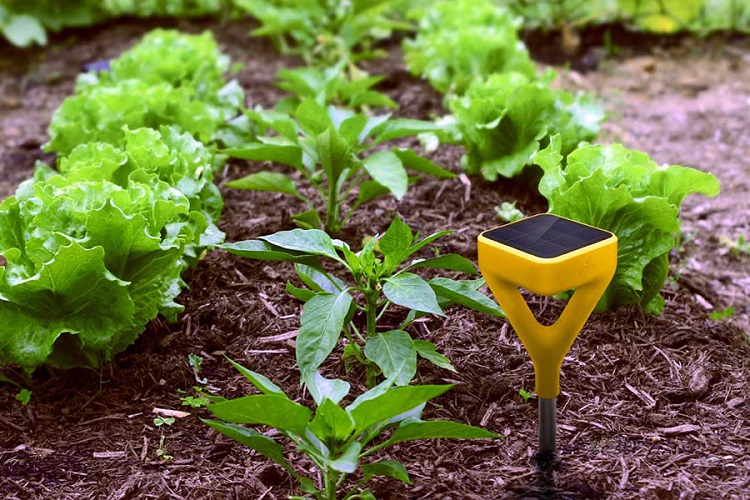 What is Smart Gardening?