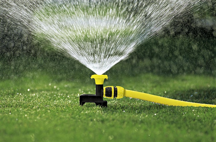 What Is The Best Time To Water Your Garden With A Sprinkler?