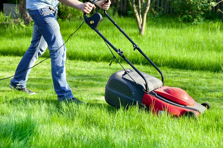 The Lowdown on Electric Lawn Mowers