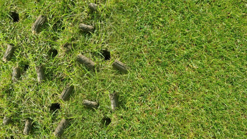 How to Use a Lawn Aerator