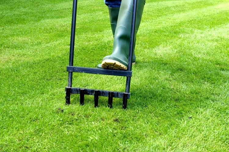 Do You Really Need To Aerate Your Lawn?