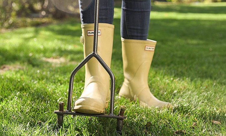 Tips for Effective Lawn Aeration