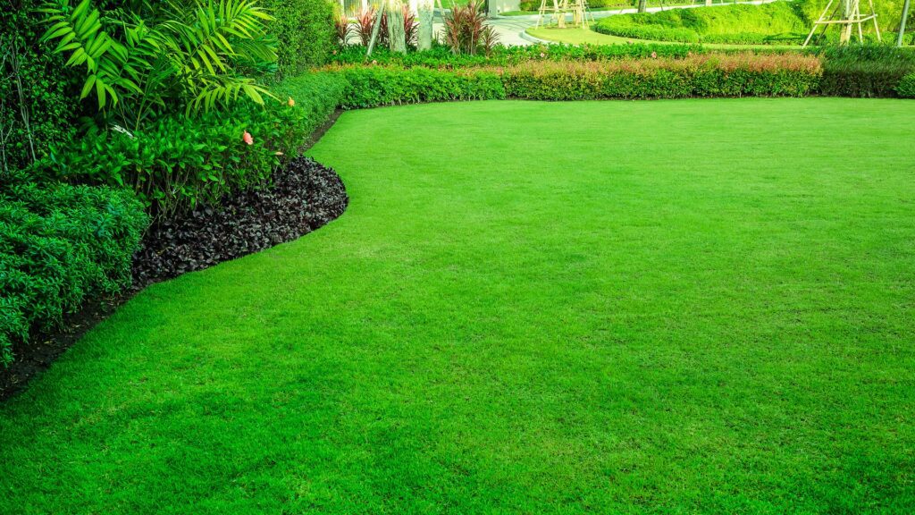 How Composting and Top Dressing Can Revitalize Your Lawn