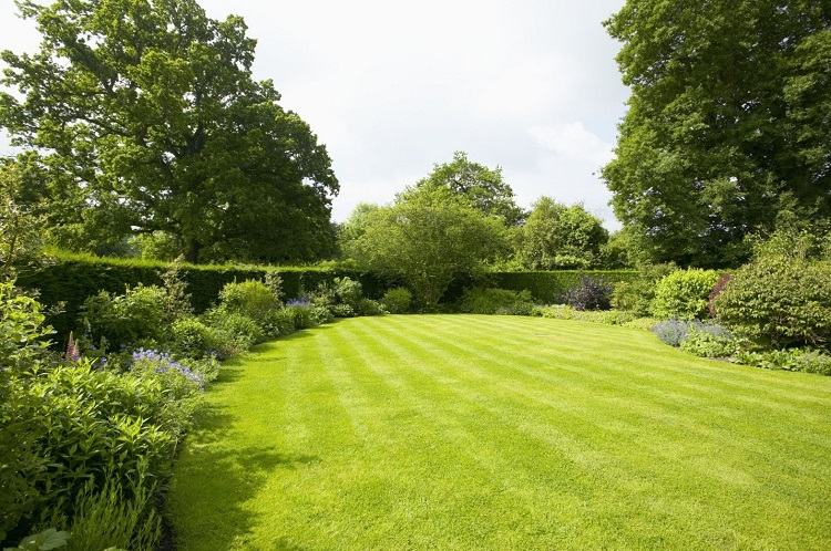 Why Should You Aerate Your Lawn?