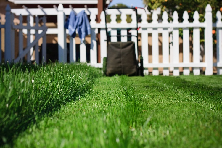 The Benefits of Top Dressing Your Lawn With Compost