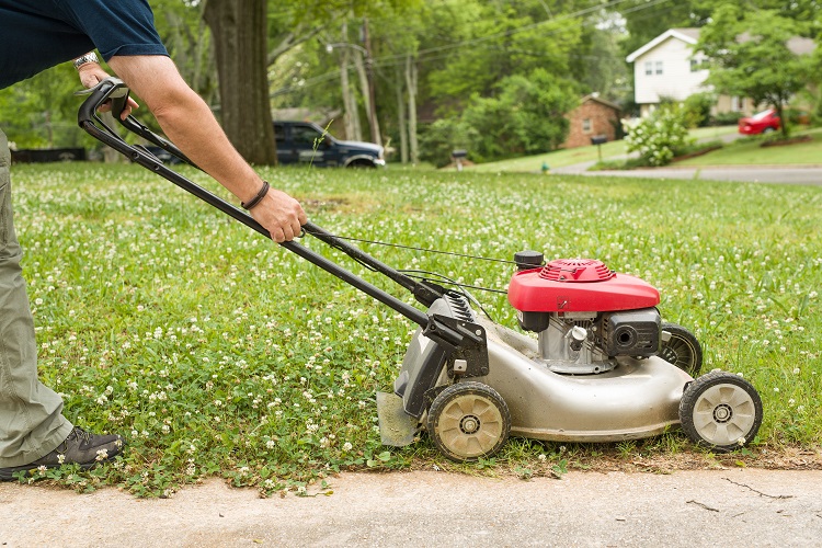 What Is The Best Type Of Mower For Smaller Yards?