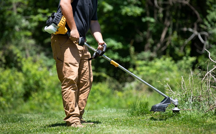 What Are The Alternatives To Mowers For The Smaller Yard?