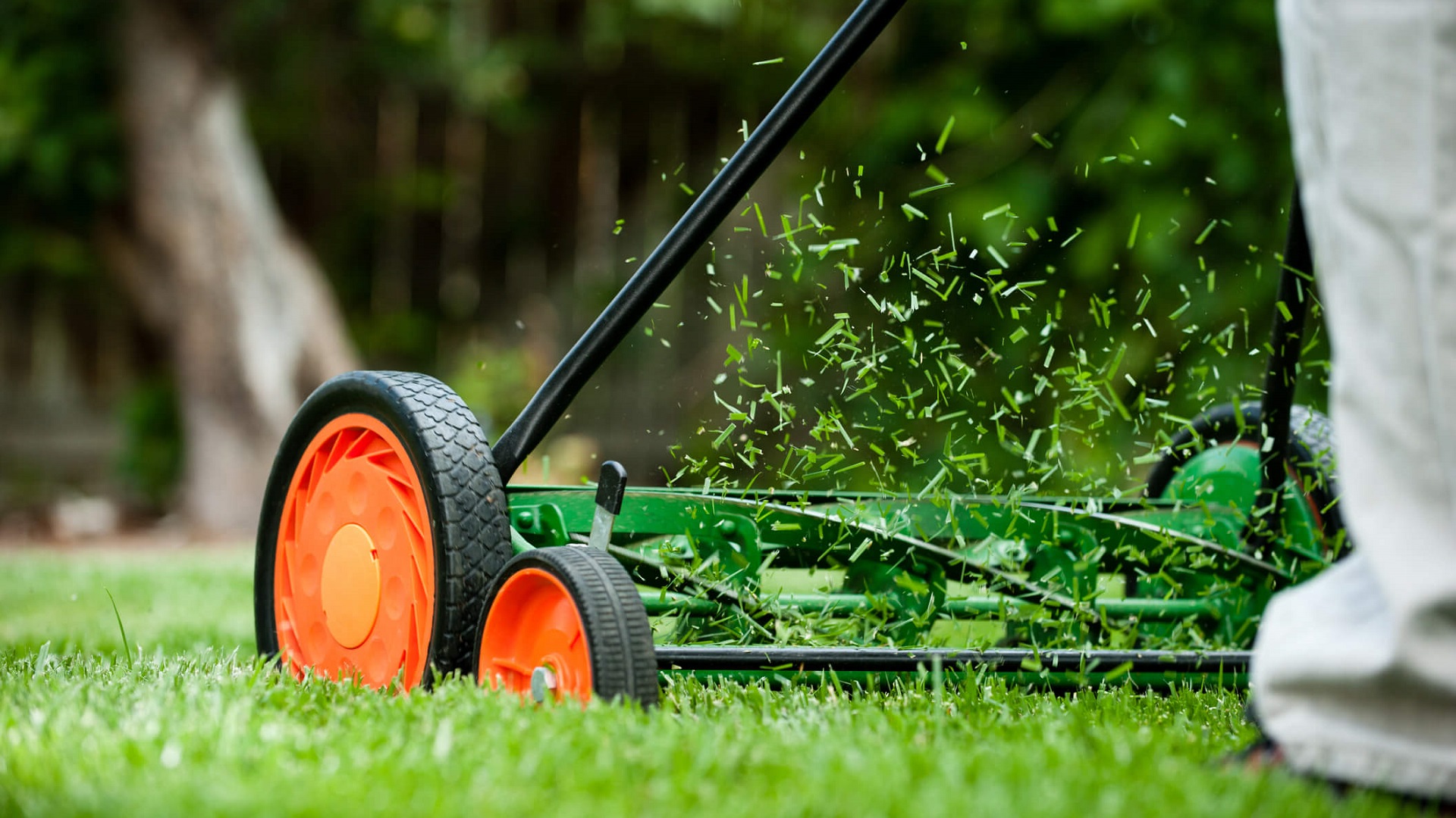 Maintenance Tips for Your Lawn