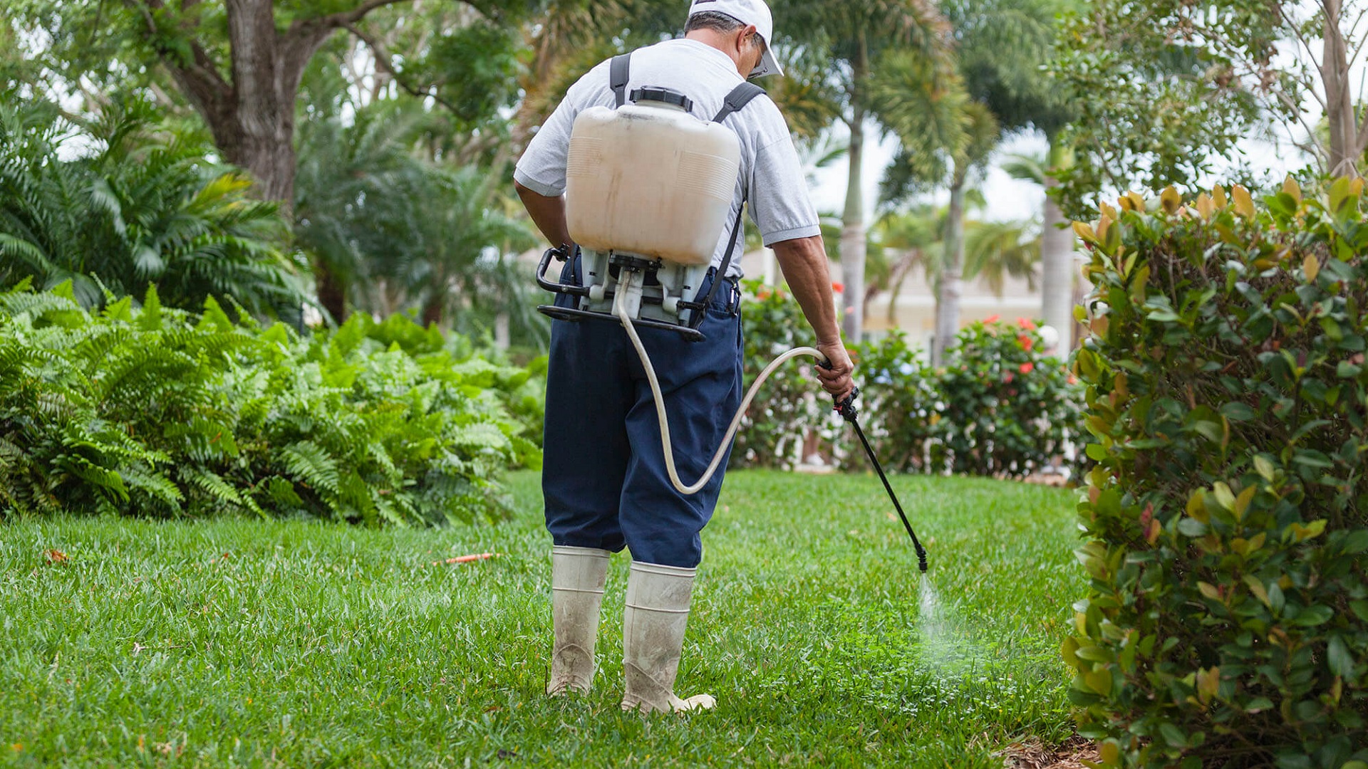 Best Backpack Sprayer For Your Lawn