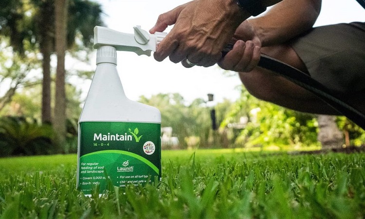 When Should I Apply Lawn Fertilizer?