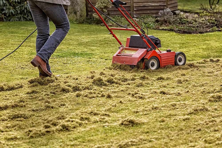 How To Dethatch Your Lawn
