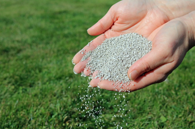 What Are the Main Ingredients in Fertilizers?