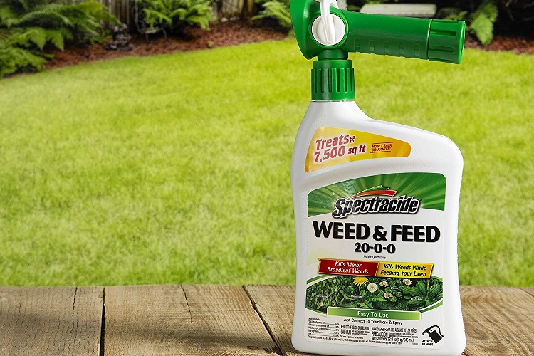 What is Weed and Feed?