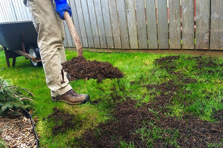 How to Source Manure for the Lawn